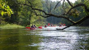 Spływ kajakowy Pilicą