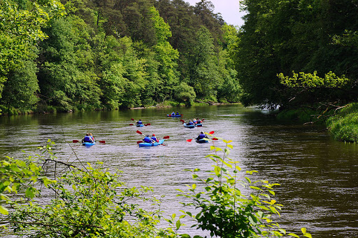 Spływy kajakowe po Pilicy Warka