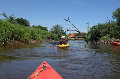 Spływy kajakowe Warka Pilica